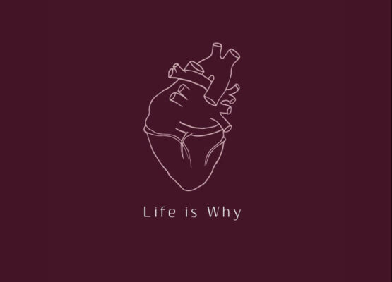 Life Is Why